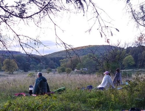 Az önátadás gyakorlata – egy hét meditáció a Bükkben