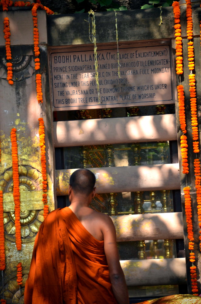 India_Nelpal_8