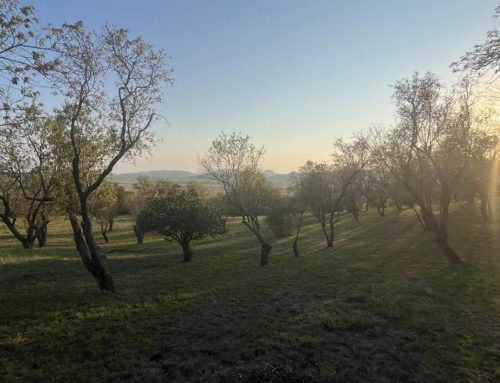Egy vezető belső utazása